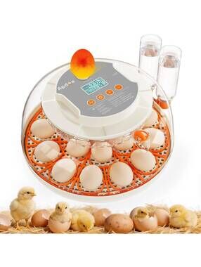 Automatic Egg Incubator - 18 Eggs, Auto Turning, Digital Temp & Humidity Control